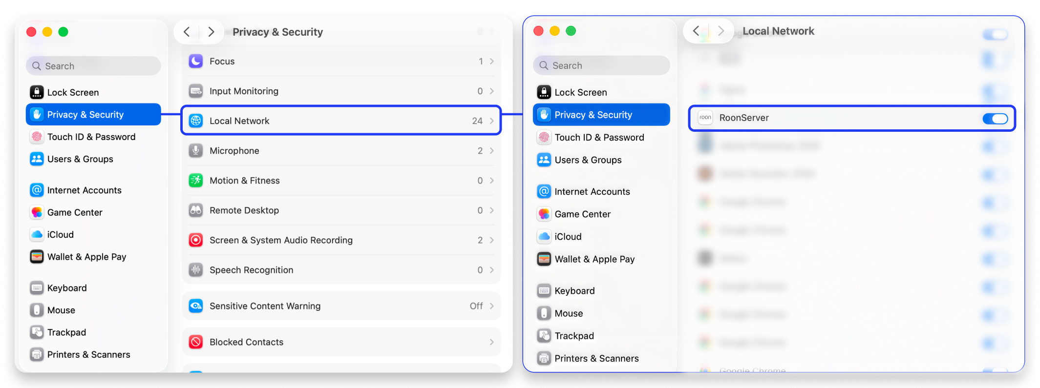 macOS Local Network settings showing Roon permission enabled.